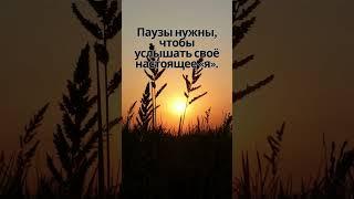 Не бойся остаться один.  Иногда именно в одиночестве ты находишь себя.
