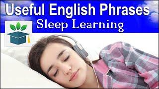 Learn Useful English Phrases and Words