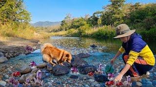 Precious Gemstones Was Hidden In The River, I Found Many Gems, Amethyst, Quartz Crystal..,