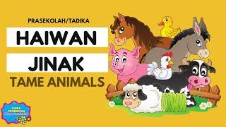 TEMA HAIWAN JINAK | PRASEKOLAH & TADIKA