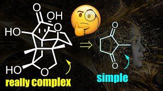 Organic Chemistry Masterclass: Insanely complex neuroprotective Illisimonin A (+reaction mechanisms)