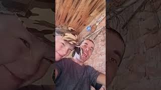 Наша сельская жизнь