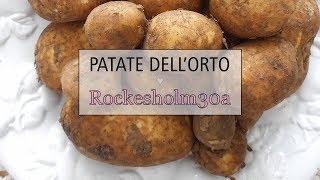 Patate - An italian in Sweden