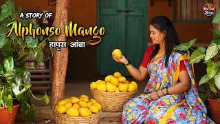 “Life of Alphonso Mango” || Maharashtra Traditional Life || Village Cooking || Red Soil Stories