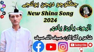 Bolijey || By Saif Ullah Saif || GB New Song 2024