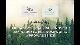 JAK NAUCZYĆ PSA PRACY NOSEM / JAK NAUCZYĆ PSA NOSEWORK. WPROWADZENIE