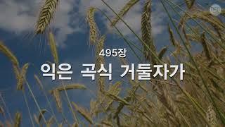 [새찬송가] 495장 익은 곡식 거둘 자가