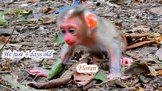 Wow...Amazing Young mom Flora training her baby Floran with awesome skill while he just 4 days old