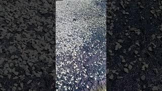 https://youtube.com/@khadimpachar?si=9q_Ph2sSSWpo6C7L
