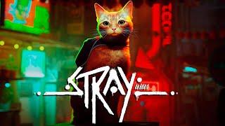 НОВЫЙ ШЕДЕВР ПРО КОТИКА - БРЕЙН ИГРАЕТ В STRAY