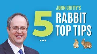 John Chitty's TOP TIPS On Approaching The Sick Rabbit!