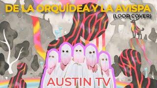 DE LA ORQUÍDEA Y LA AVISPA (LOOP VERSION/GUITAR COVER) | #AUSTINTV