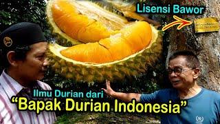 Rahasia Durian Bawor Banyumas, penemuan Haji Kromo yang mendunia