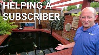 Pond visit & Helping a subscriber (KOI POND)