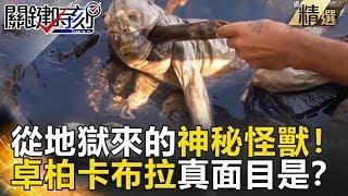 從地獄來的神秘怪獸！卓柏卡布拉真面目是？-關鍵時刻精選  黃創夏 陳耀寬 朱學恒 黃世聰