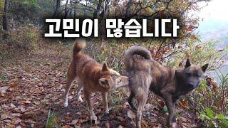 갑자기 고민이 많아졌습니다