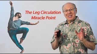 The Leg Circulation Miracle Point