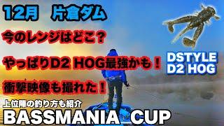 12月【片倉ダム】衝撃映像あり！D2 HOG最強かも！釣れるレンジはどこ？BASSMANIA  CUP DSTYLE  D2 HOG D2 ホッグバスマニアカップ　初心者向け　冬の釣り　秋の釣り