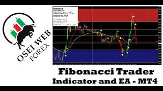 Fibonacci Trader   Indicator and EA