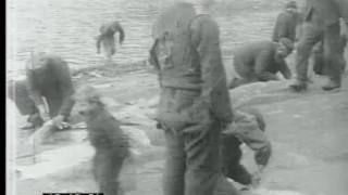 Life On St Kilda Island, 1910 - Film 37331