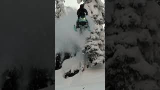 Ski-Doo Freeride: Ultimate Capability