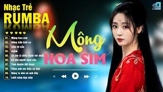 LK RUMBA ĐẶC SẮC - MỘNG HOA SIM RUMBA - RUMBA NHẠC TRẺ HOT NHẤT - NHẠC TRẺ RUMBA GÂY BÃO