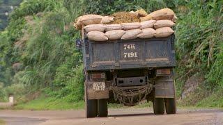 Harvesting the Coffee Farms | This World: The Coffee Trail With Simon Reeve | BBC Studios