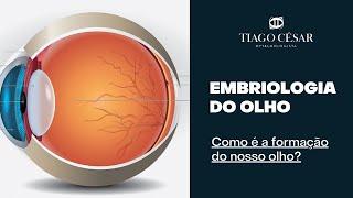 Embriologia do olho humano | Formação do olho | Dr. Tiago César - Oftalmologista - Belo Horizonte.