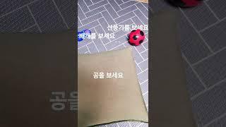 모든것.