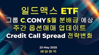 일드맥스 ETF - 그룹 C 5월 분배금 예상 및 주간 옵션매매 업데이트 (CONY, MSTY, TSLY, NVDY, PLTY, SMCY, FBY, YMAX/G)