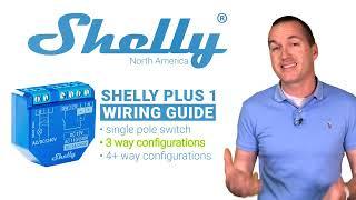 Wiring Shelly Plus 1 with Rob Tait