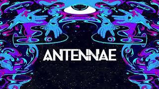 An-Ten-Nae - Is There Anybody Out There [OFFICIAL VISUALIZER]