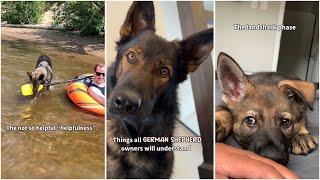 Things All German Shepherd Owners Understand