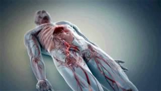 Medical Animation Videos At Get Animated