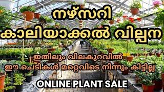 Stock Clearance Sale/ഇപ്പോൾ വാങ്ങിയാൽ ഇരട്ടി വാങ്ങാം/@iamilhan