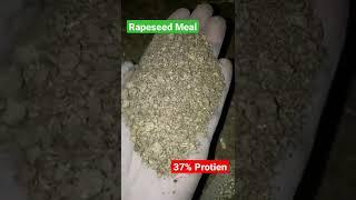 Rapseed Meal || Physical Appearance || Feed Ingredient || #feedmill  #feedchannel