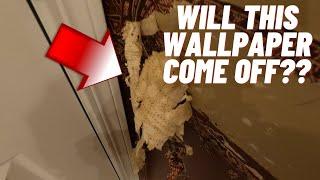 How To Remove Wallpaper Easily | Before And After | HANDYMAN HEADQUARTERS |