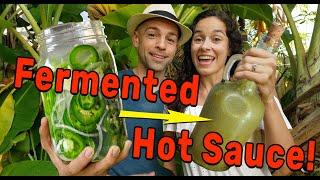 How to Make Fermented Hot Sauce & Pickled Peppers | The Fermentation Adventure