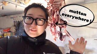 Vlog15. Sheep Slaughter | Go into Mongolian’s Slaughter “Festival”