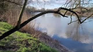 ****Severn Bore 09.45 Stonebench, Gloucestershire 22.02.2023