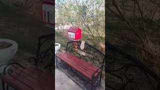 Сквер им. Карла Маркса