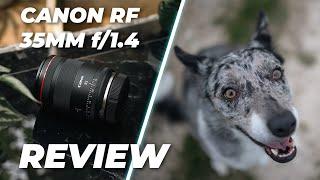 Canon RF 35mm f/1.4L VCM Lens Review | The Ultimate Hybrid Lens?