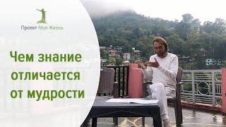 Чем знание отличается от мудрости.
