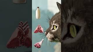 Cats on Ark Ascended Guide