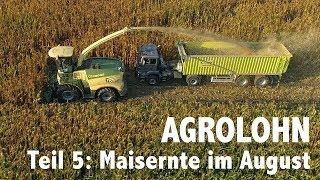 Lohnunternehmen Agrolohn: Maisernte im August
