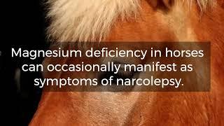 Did you know that magnesium deficiency in horses can occasionally look like narcolepsy?