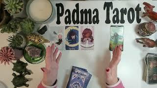 TAURUS ️ YOU WILL BE NICELY SURPRISED!FEBRUARY 17TH-23RD Weekly Tarot Reading  