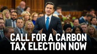 Call for a carbon tax election now