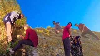 Adventure in the Mountains: Amir and Sons Discover a Spring and Collect Firewood