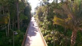 Welcome to University of North Florida (:30 spot)